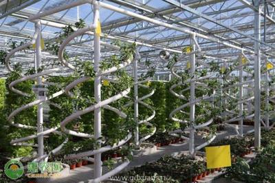 農(nóng)業(yè)科技公司注冊經(jīng)營范圍及國營貿(mào)易管理貨物進出口解析