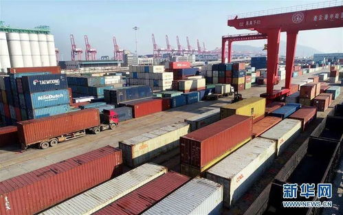 組團出海搶訂單，穩(wěn)外貿注入新動能